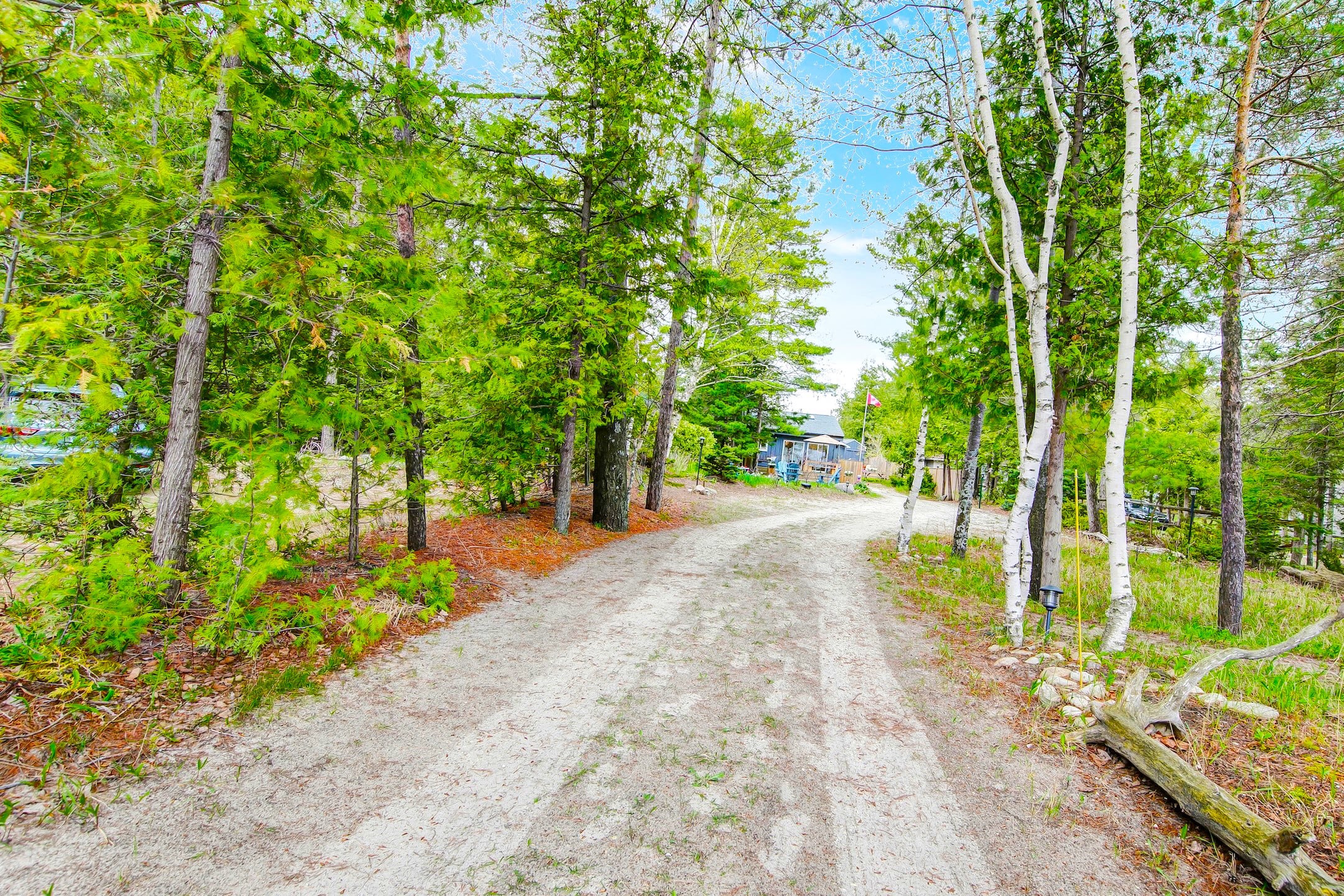 Driveway